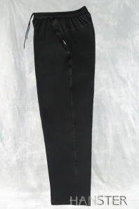 черный HANSTER Брюки спортивные БТ-5 (черный)