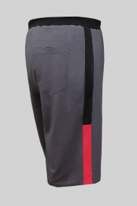HANSTER Шорты ШФЛ-3Т (дымчатый)