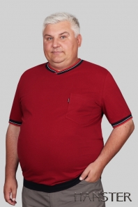 бордо/синий HANSTER Футболка ФК-13ПМ (бордо/синий)