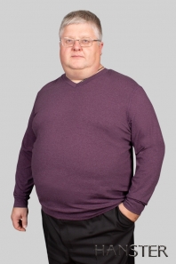 Бордо HANSTER Джемпер ДАС-1 "П" (Бордо)